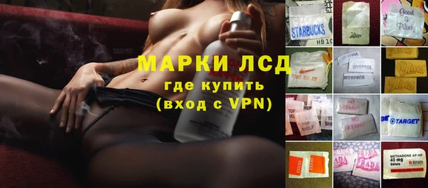 мяу мяу мука Корсаков